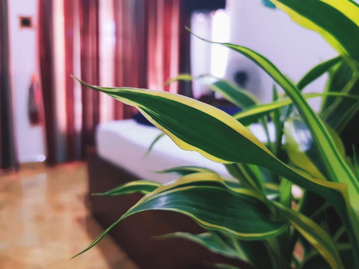 Leisure Dream Inn Ella Luaran gambar